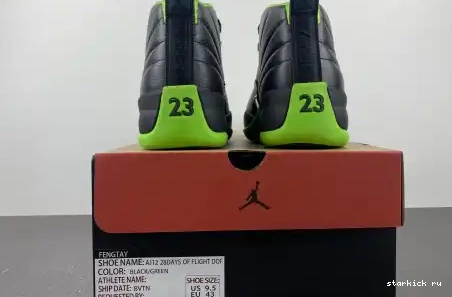 GREEN 12 AJ12 FLIGHT DOF Jordan BLACK 0516